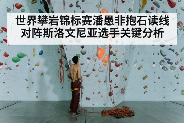 climbing competition bouldering wall